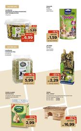 Zoo & Co Prospekt woche 44 Seite 10