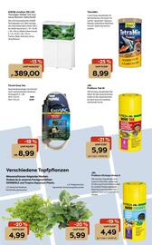 Zoo & Co Prospekt woche 44 Seite 11