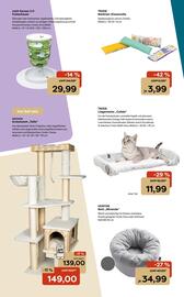 Zoo & Co Prospekt woche 44 Seite 6