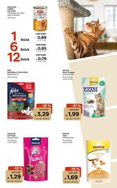 Zoo & Co Prospekt woche 44 Seite 9