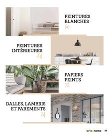 Catalogue Bricorama page 59