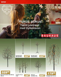Bauhaus avis Side 13