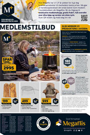 Megaflis kundeavis Side 40