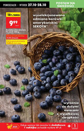 Biedronka gazetka Strona 22