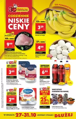 Biedronka gazetka