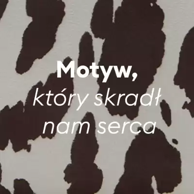 Sinsay gazetka (ważność do 18-11)