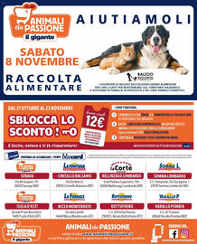 Volantino Il Gigante Pagina 8
