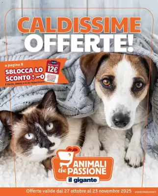 Volantino Il Gigante (valido fino al 23-11)