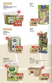 ZOO & Co Flugblatt woche 44 Seite 10