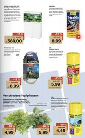 ZOO & Co Flugblatt woche 44 Seite 11