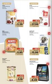 ZOO & Co Flugblatt woche 44 Seite 2