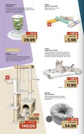 ZOO & Co Flugblatt woche 44 Seite 6