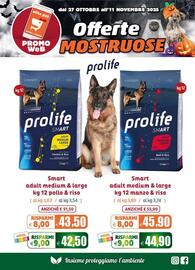 Volantino Elite Pet Pagina 3