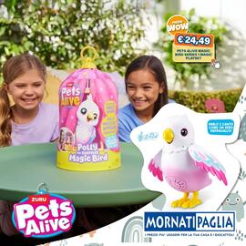 Volantino Mornati Paglia Pagina 4