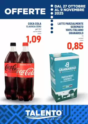Volantino Talento Professional Store (valido fino al 9-11)