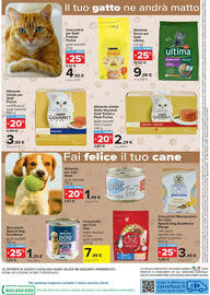 Volantino Carrefour Iper Pagina 12