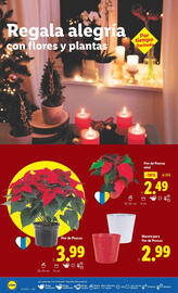 Catálogo Lidl semana 45 Página 34