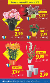 Catálogo Lidl semana 45 Página 35