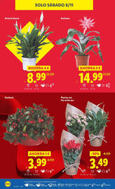 Catálogo Lidl semana 45 Página 36