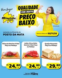 Folheto Mineirão Atacarejo semana 44 Página 4