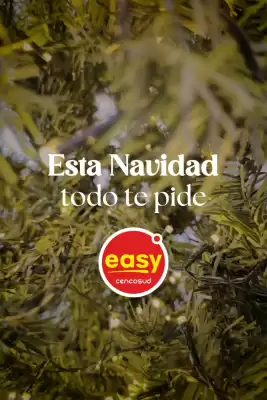Catálogo Easy (válido hasta 31-12)