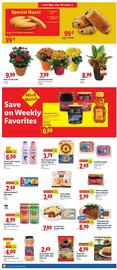 Lidl weekly ad week 44 Page 8