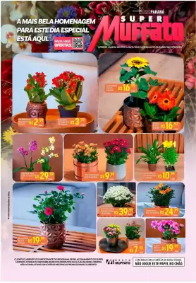 Encarte Muffato (válido até 4-11)