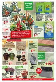 Multi Markt Prospekt woche 44 Seite 17