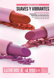 Catálogo Amodil Página 35