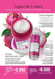 Catálogo Amodil Página 4