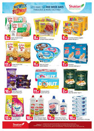 Shaklan leaflet Page 2