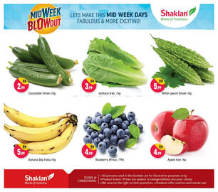 Shaklan leaflet Page 3