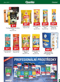 Qanto leták Strana 169