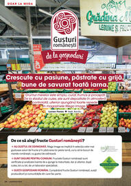 Catalog Mega Image Pagină 26