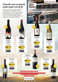 Catalog Mega Image Pagină 43