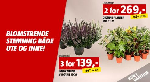 Bauhaus kundeavis Side 4