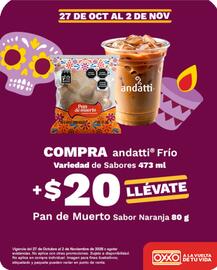 Catálogo OXXO Página 13