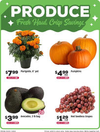 Grocery Outlet weekly ad week 43 Page 5