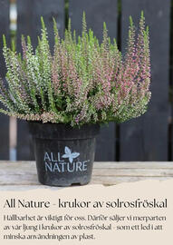 Plantagen annonsblad Sida 2