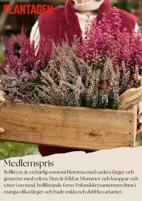 Plantagen annonsblad (giltig till och med 26-11)