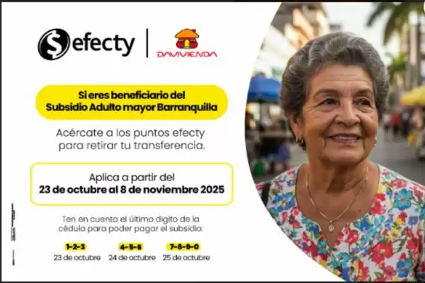 Catálogo Efecty (válido hasta 8-11)