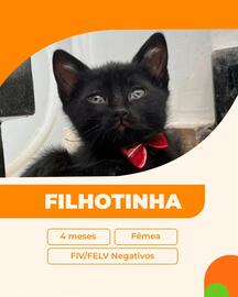 Catálogo Cobasi Página 2