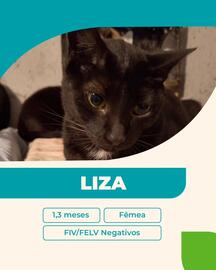 Catálogo Cobasi Página 3