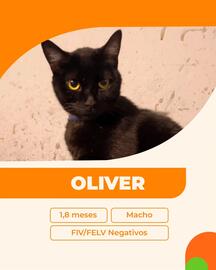 Catálogo Cobasi Página 4