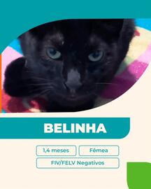 Catálogo Cobasi Página 5