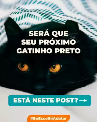 Catálogo Cobasi (válido até 31-10)