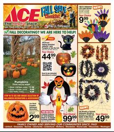 Ace Hardware flyer Page 1