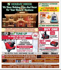 Ace Hardware flyer Page 6