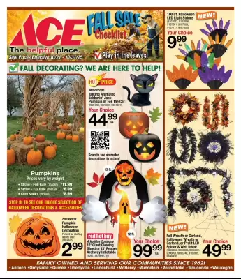 Ace Hardware flyer (valid until 31-10)