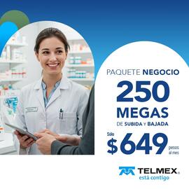 Catálogo Telmex Página 4